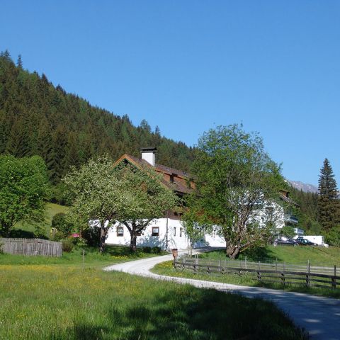 Urlaub beim Wiesenbauer Urlaub beim Wiesenbauer