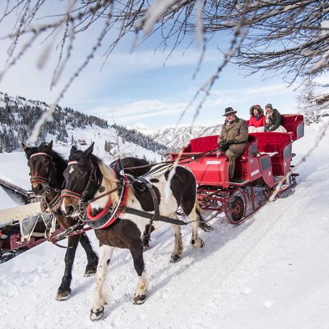 Pferdeschlittenfahrt am Katschberg